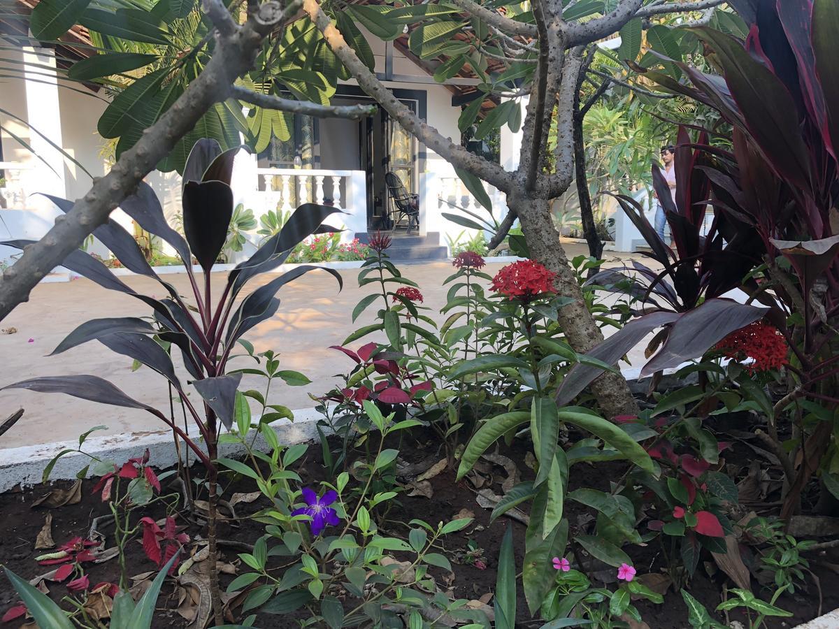 Hotel God'S Gift Morjim Exterior foto